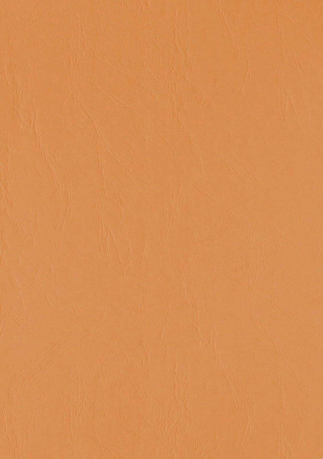 LMG Signaltechnologie 100 LMG rückwaende für Bindemappen orange