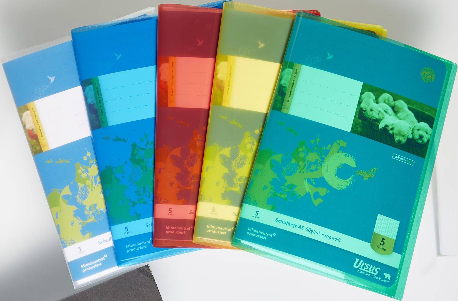 Fünf bunte Notizbücher oder Schulhefte, fächerförmig ausgebreitet, jeweils mit einem anderen leuchtend farbigen Coverdesign auf einer hellgrauen Oberfläche.
