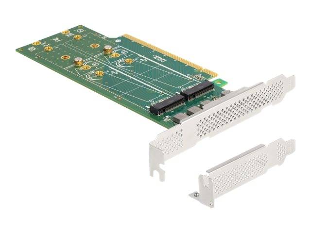 Delock Speicher-Controller - Bifurcation, 110 mm - M.2 NVMe Card - Low-Profile -