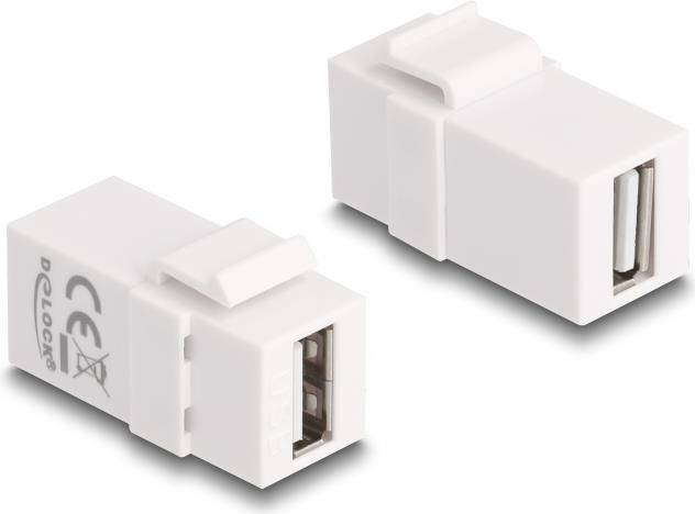Delock Modulare Eingabe - USB 2.0 Type A - weiß