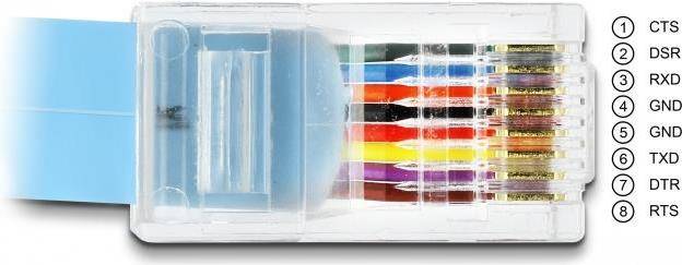 Delock Serieller Adapter - DB-9 (M) zu RJ-45 (M) - 1 m - EIA-232 - Blau