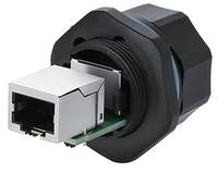 Good Connections IC06-R102 - RJ45 - Schwarz - Kupfer - Kunststoff - Kieselgel -