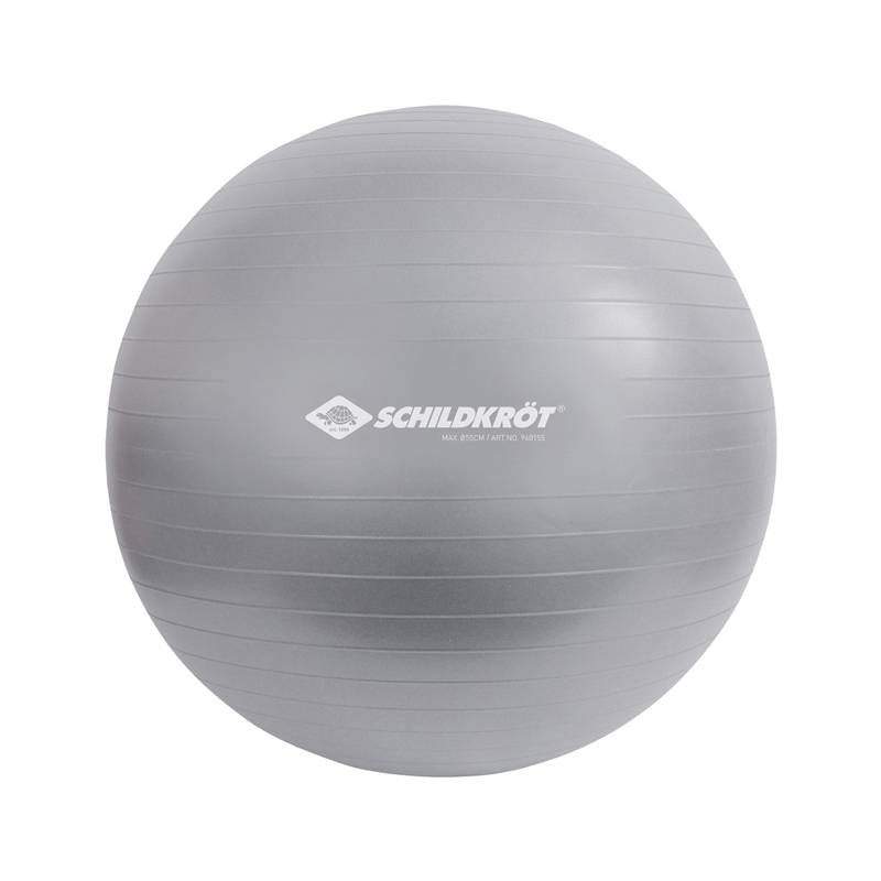 SCHILDKRÖT Gymnastikball, Durchmesser: 550 mm, silber