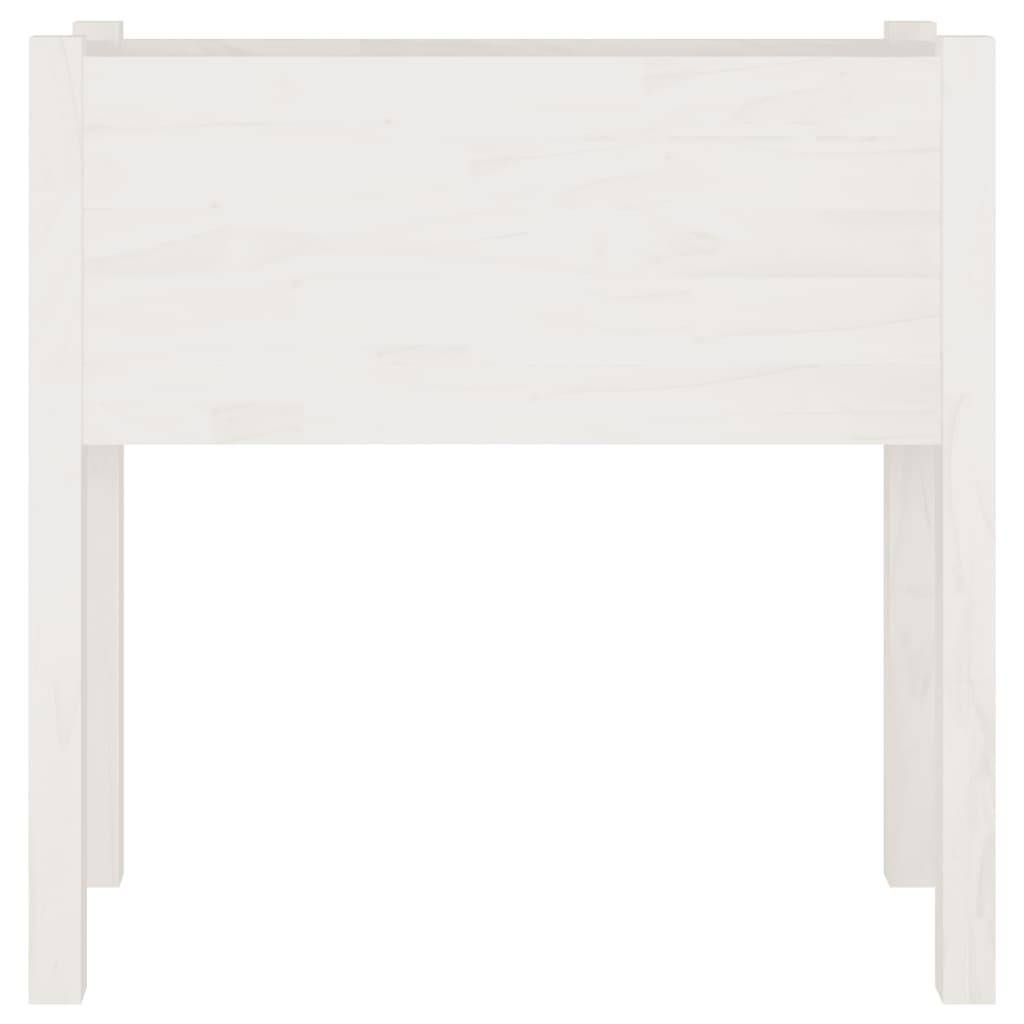 vidaXL Pflanzkübel 2 Stk. Weiß 70x31x70 cm Massivholz Kiefer