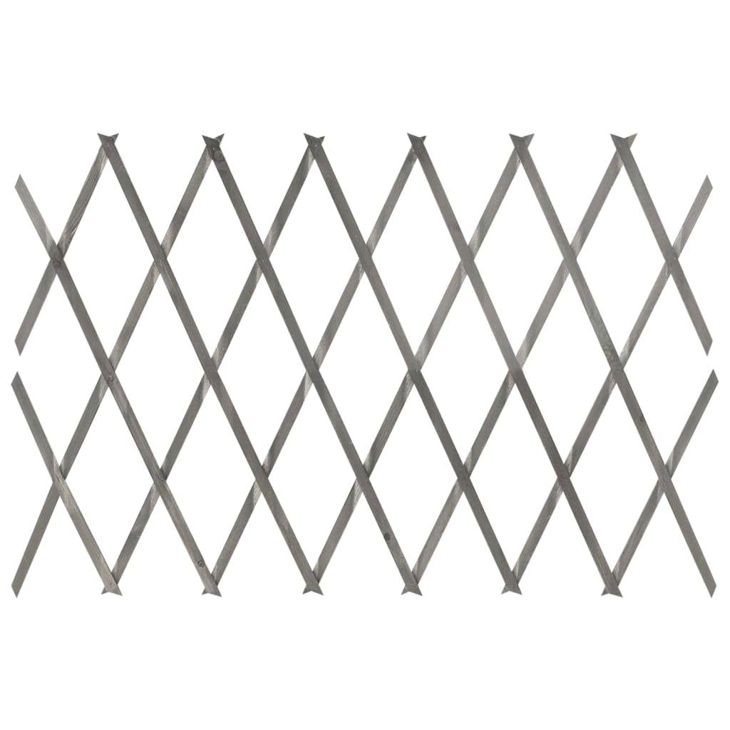 vidaXL Rankzäune 5 Stk. Grau Massivholz Tanne 180x60 cm