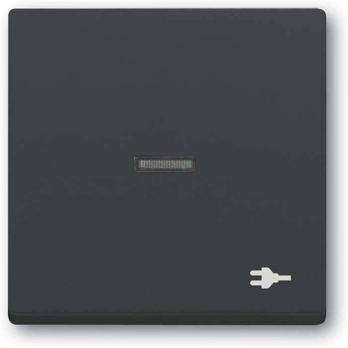 Busch-Jaeger Wippe mit Aufdruck 1789 ST-81