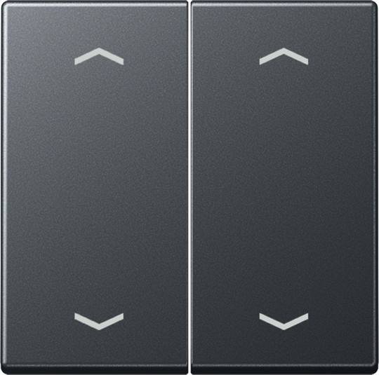 Jung Wippe A102PBFANM