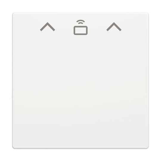 Busch-Jaeger Zent.Sch.Cardschalter RFI 1792 RFID-84