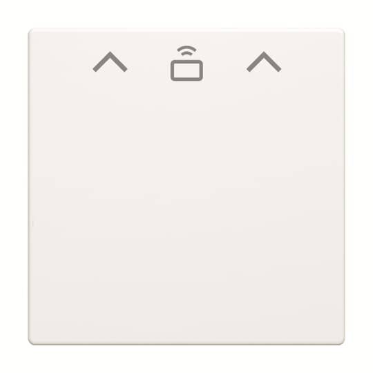 Busch-Jaeger Zent.Sch.Cardschalter RFID 1792 RFID-884