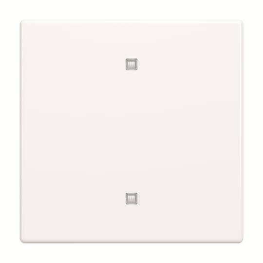 Busch-Jaeger Wippe 2570-10-84