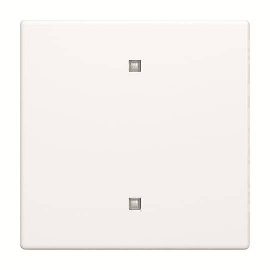 Busch-Jaeger Wippe 2570-10-884