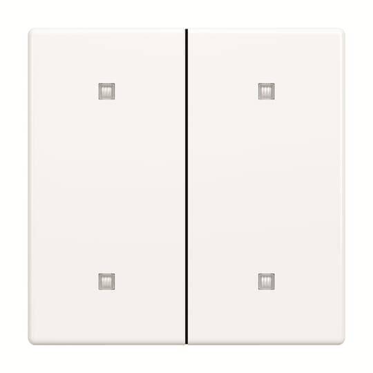 Busch-Jaeger Wippe 2-fach 2570-20-84