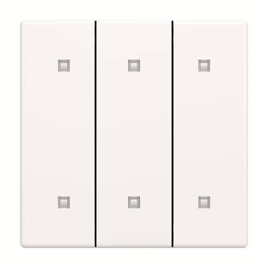 Busch-Jaeger Wippe 3-fach 2570-30-84