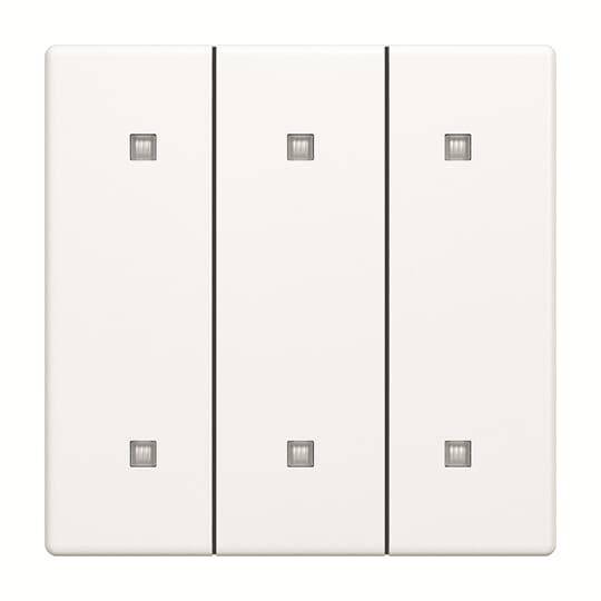 Busch-Jaeger Wippe 3-fach 2570-30-884