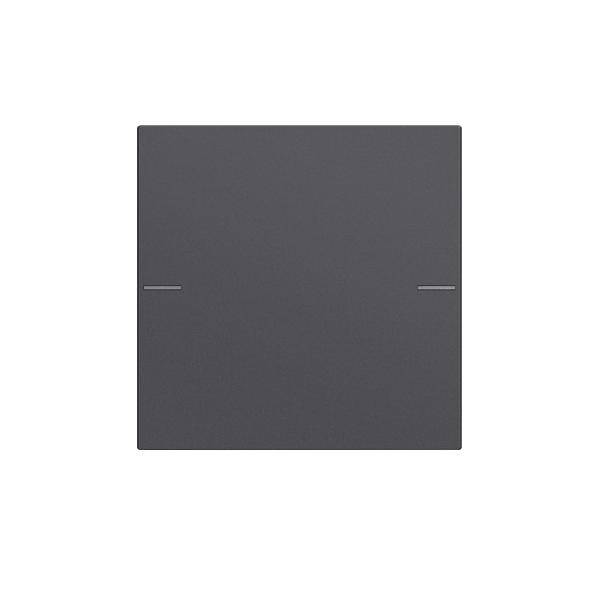 Gira Wippenset 1-fach 575128