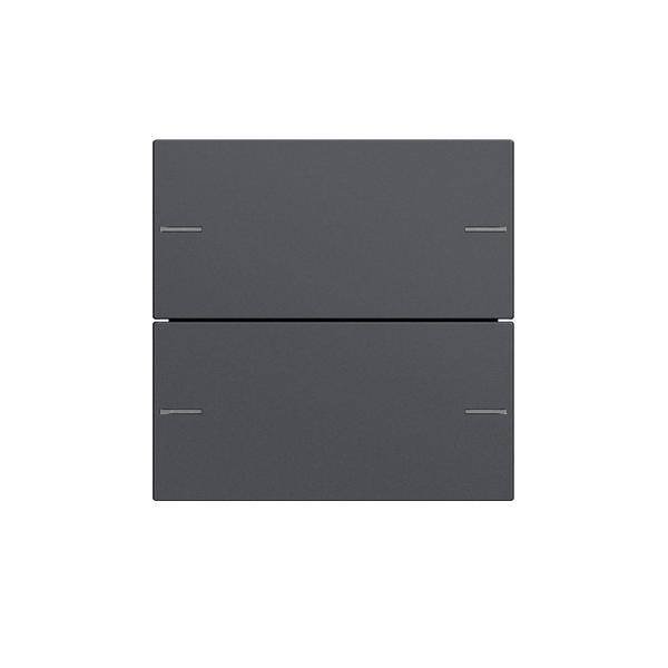 Gira Wippenset 2-fach 575228