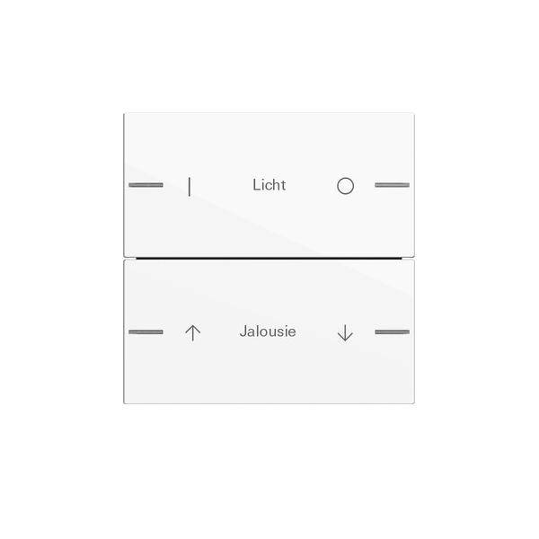 Gira Wippenset 2-fach indiv. 576203