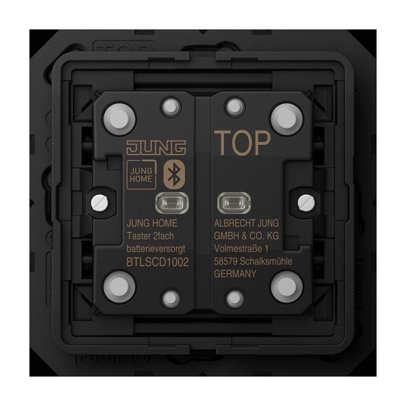 Jung Taster 2fach BT LS CD 1002