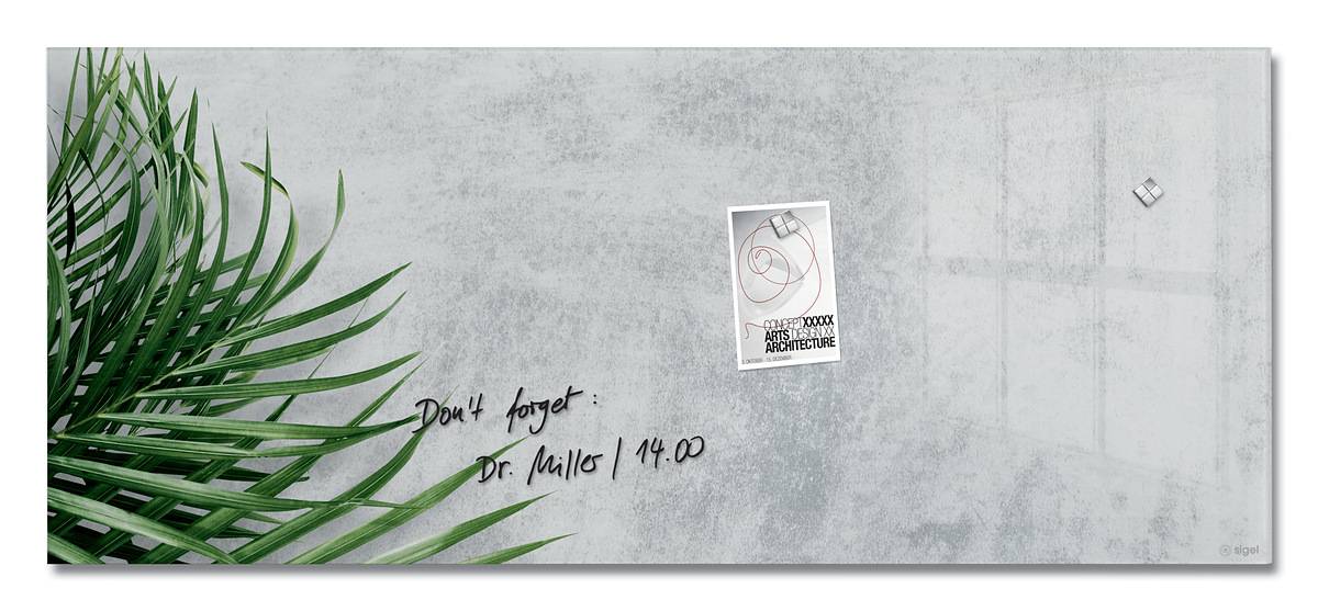 SIGEL Glas-Magnettafel Artverum - Design Botanic - 130 x 55 cm - grau, grün - Sicherheitsglas - TÜV-geprüft