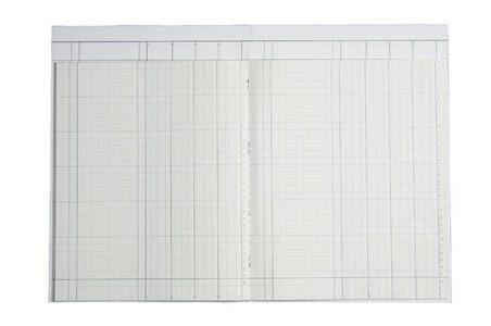 Blatt kariertes Papier mit schwachen vertikalen und horizontalen Gitterlinien, dargestellt auf weißem Hintergrund.