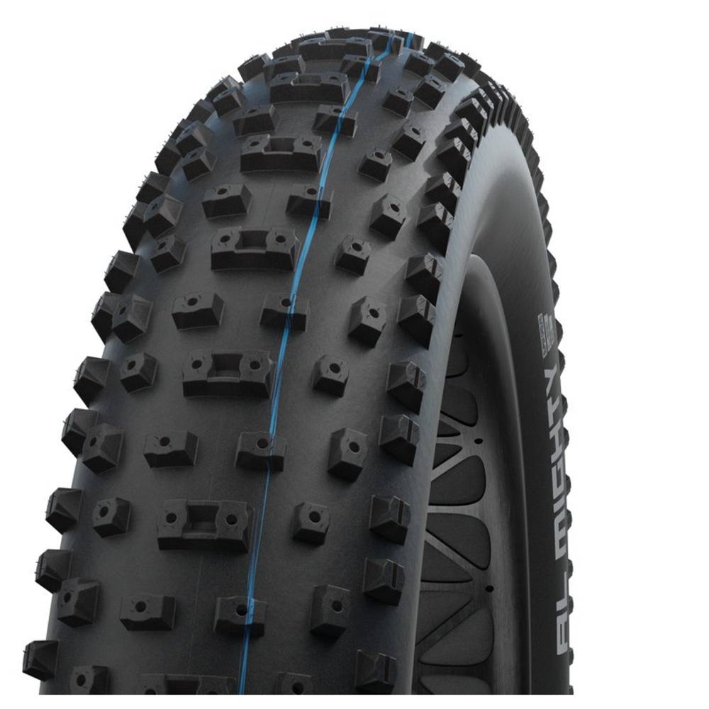 Schwalbe Reifen Al Mighty HS613 fb. 26x4.80" 120-559 sw SSk EvoL TLE AddSG