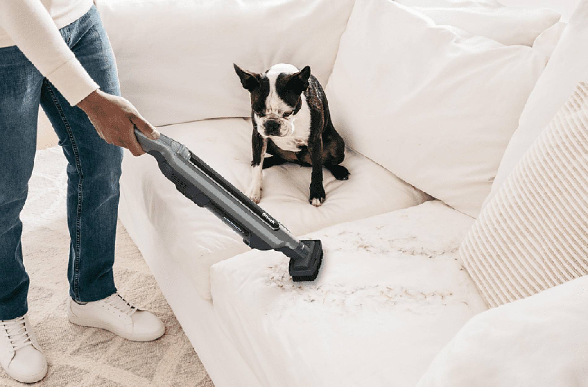 Ninja WV361EU Akku Staubsauger