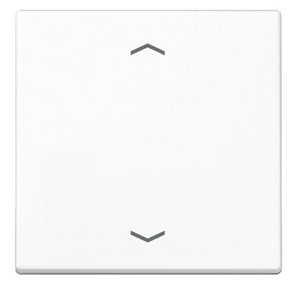 Jung Wippe 1-fach A 590 BF P WW