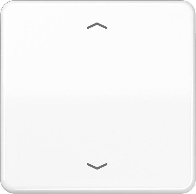 Jung Steuertaste Standard CD 1700 P WW