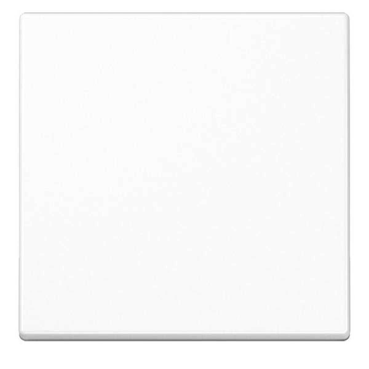 Jung Steuertaste Standard A 1700 BF WW