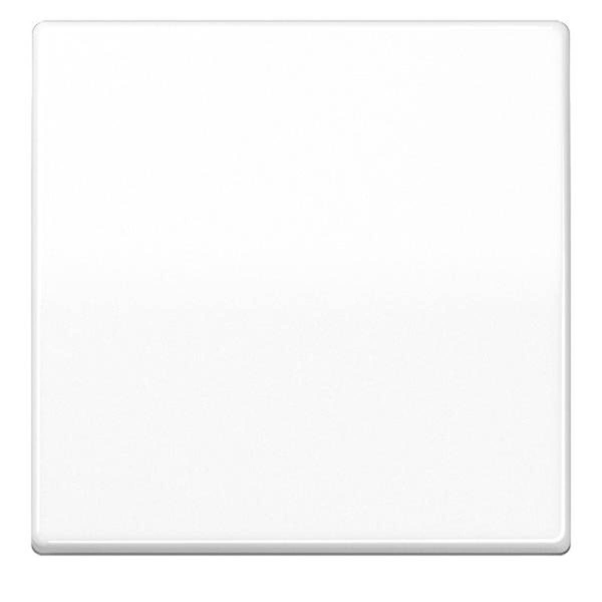 Jung Steuertaste Standard AS 1700 WW