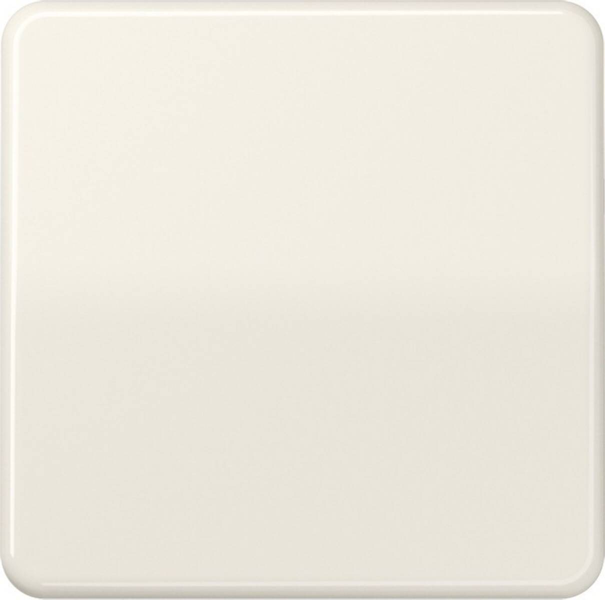 Jung Steuertaste Standard CD 1700