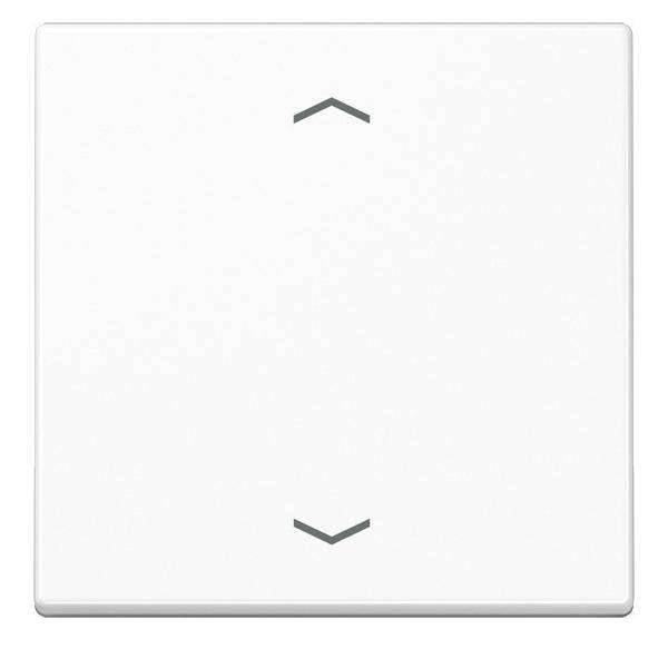 Jung Steuertaste Standard A 1700 BFP WW