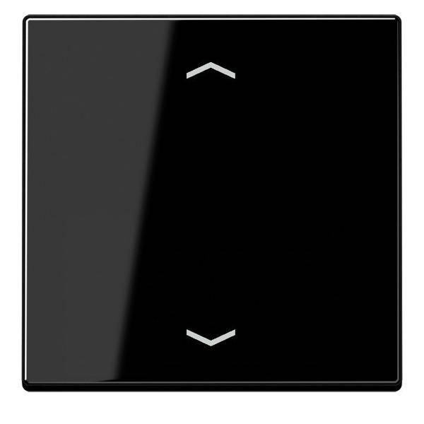 Jung Steuertaste Standard A 1700 P SW
