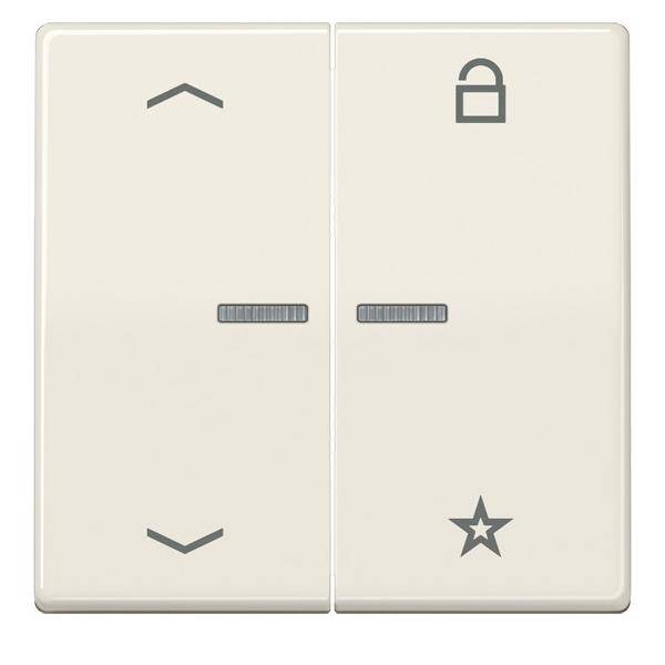 Jung eNet Funk-Steuertaste FM AS 1701 P