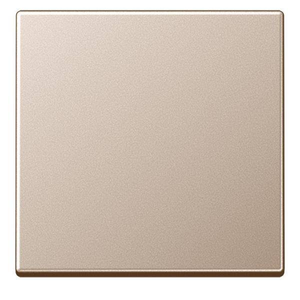 Jung Steuertaste Standard A 1700 CH