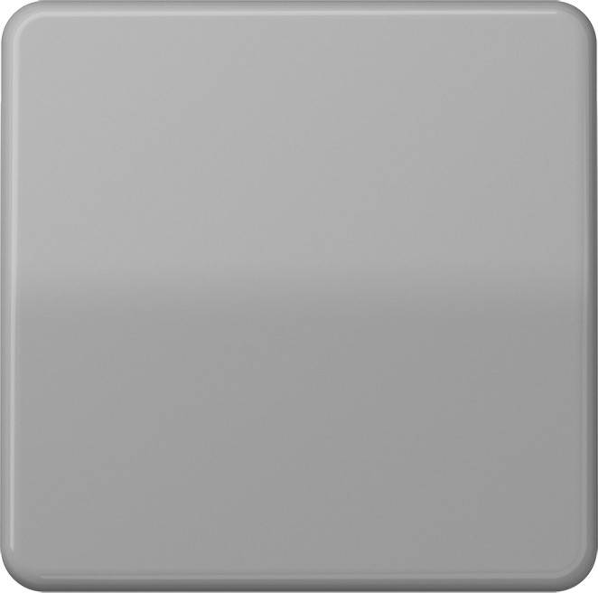 Jung Steuertaste Standard CD 1700 GR