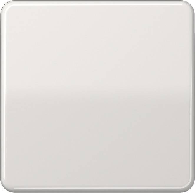 Jung Steuertaste Standard CD 1700 LG