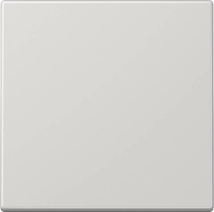 Jung Steuertaste Standard LS 1700 LG