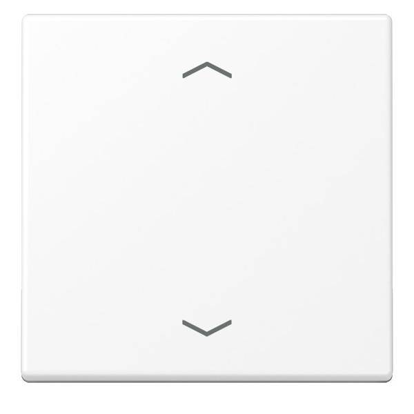 Jung Steuertaste Standard A 1700 BFP WWM