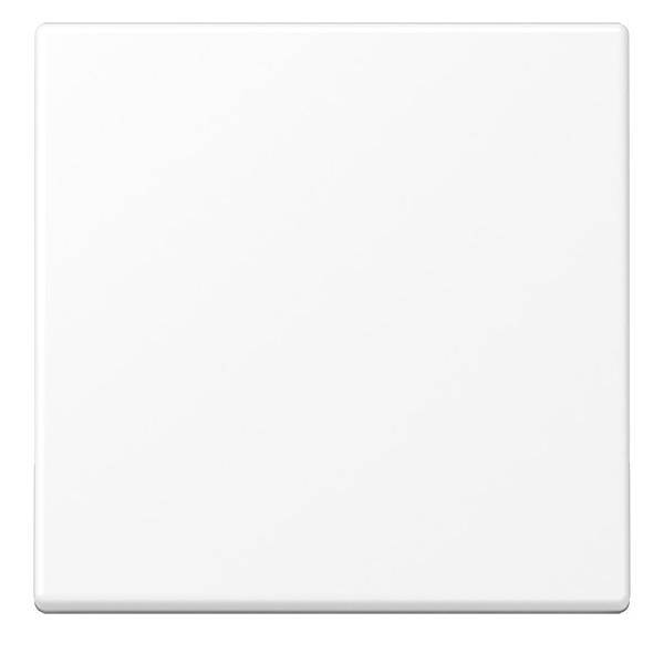 Jung Steuertaste Standard A 1700 BF WWM