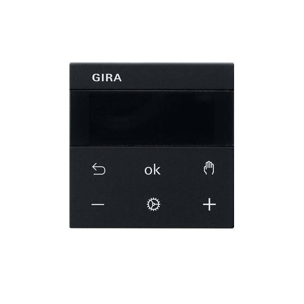 Gira RTR Display 5393005