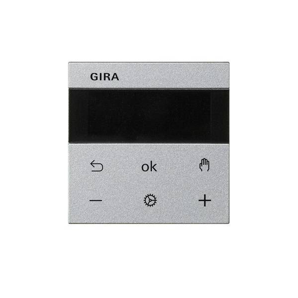 Gira RTR Display 539326
