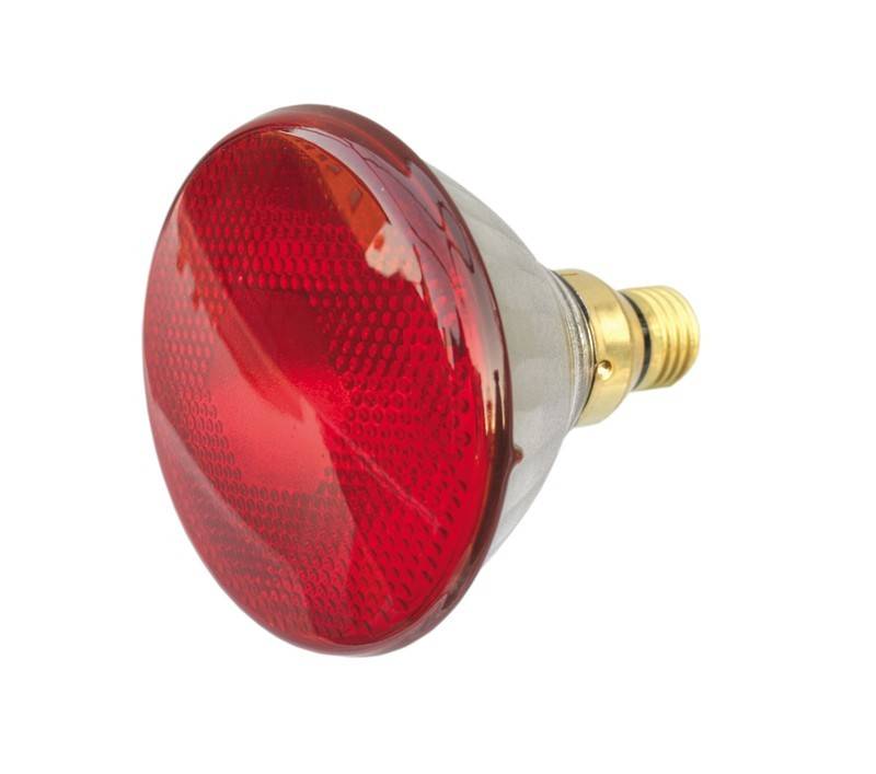 Scharnberger+Hasenbein Infrarot-Wärmestrahler 29501