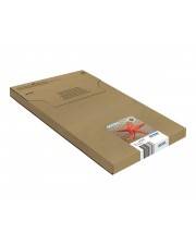 Epson Multipack 4-colours 405XL EasyMail