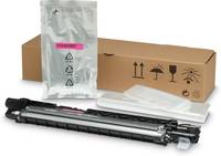 HP Magenta - Original - LaserJet - Entwickler-Kit - für LaserJet Managed MFP E7