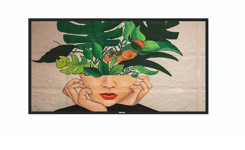 Philips 43BDL4511D - 109 cm (43") Diagonalklasse (108 cm (42.5") - sichtbar) - D