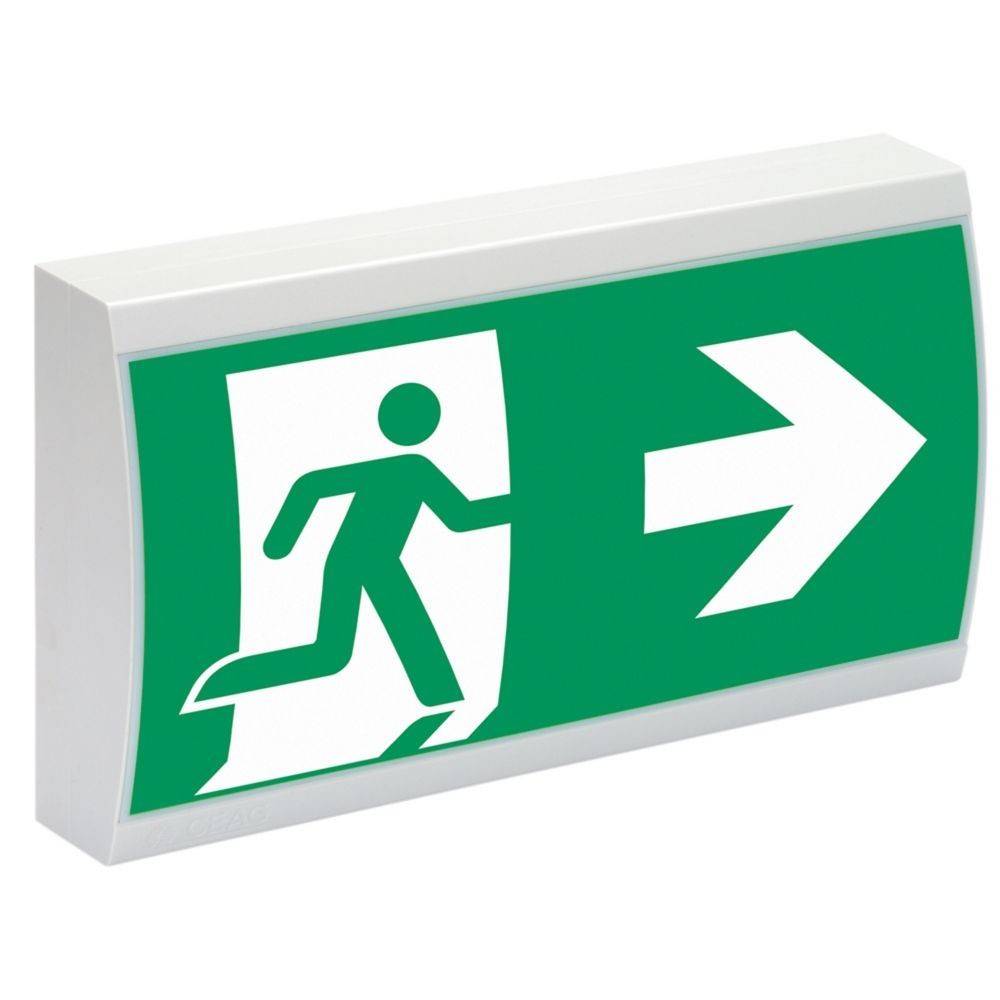 Ceag Notlichtsysteme Rettungszeichenleuchte 29011 LED CG-S