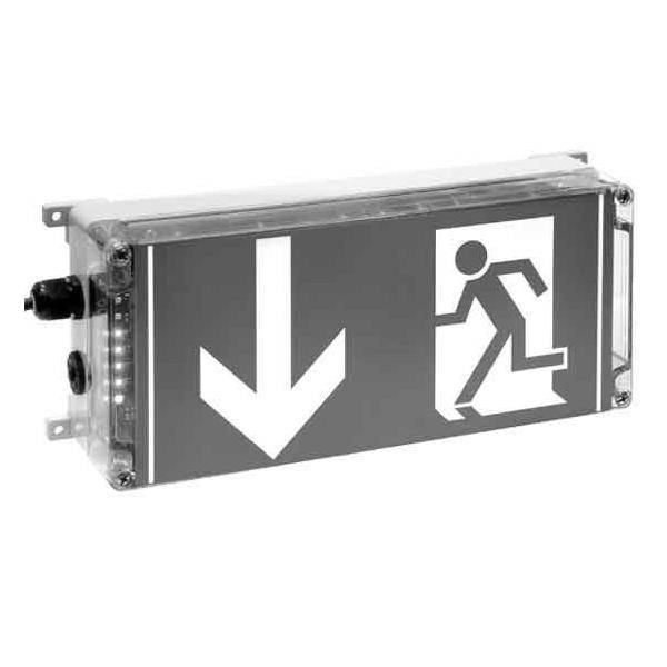 Ceag Sicherheitst. Ex-Rettungszeichenleuchte 1 2191 020 003