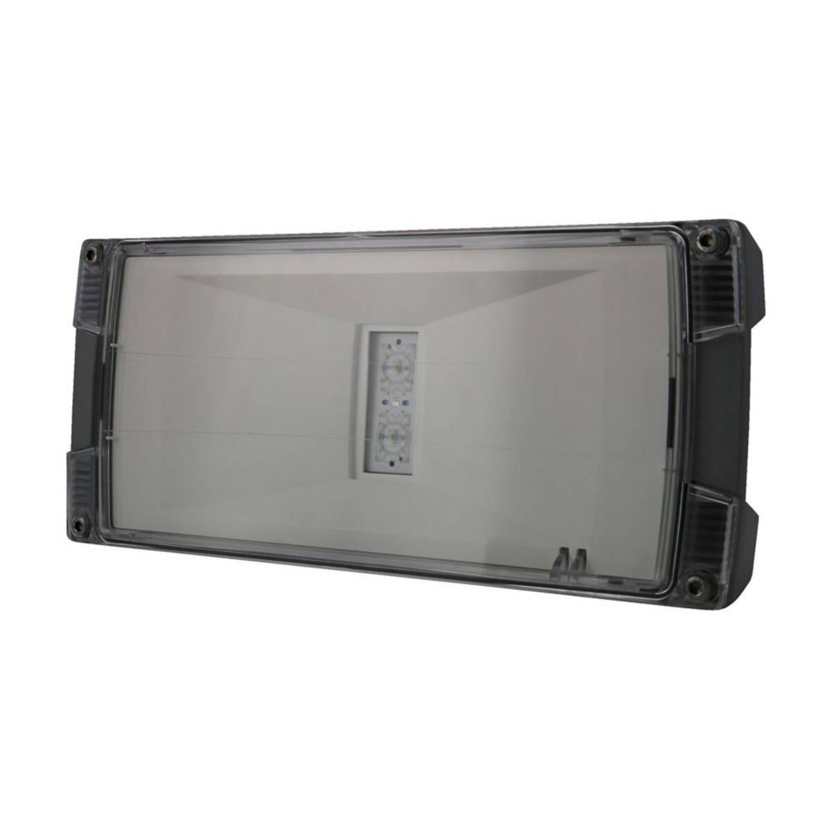 Ceag Notlichtsysteme LED-Einzelbatterie-Leuchte AtlanticLED SCGLine+