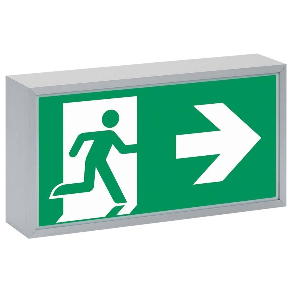 Ceag Notlichtsysteme Rettungszeichenleuchte 71011 LED CG-S